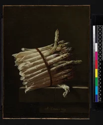 Spargelbund, 1703